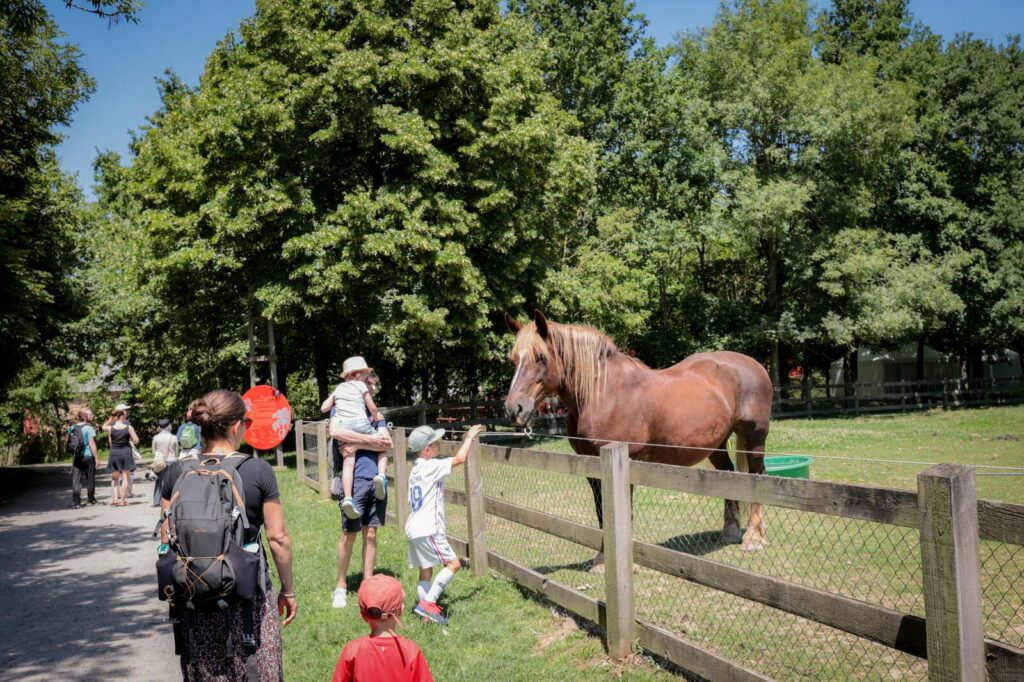 Balade à l'Écomusée de la Bintinais à Rennes