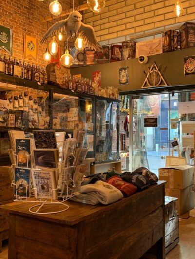 au-comptoir-des-sorciers-2568