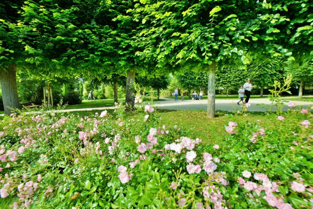 Vue sur le Parc de Maurepas