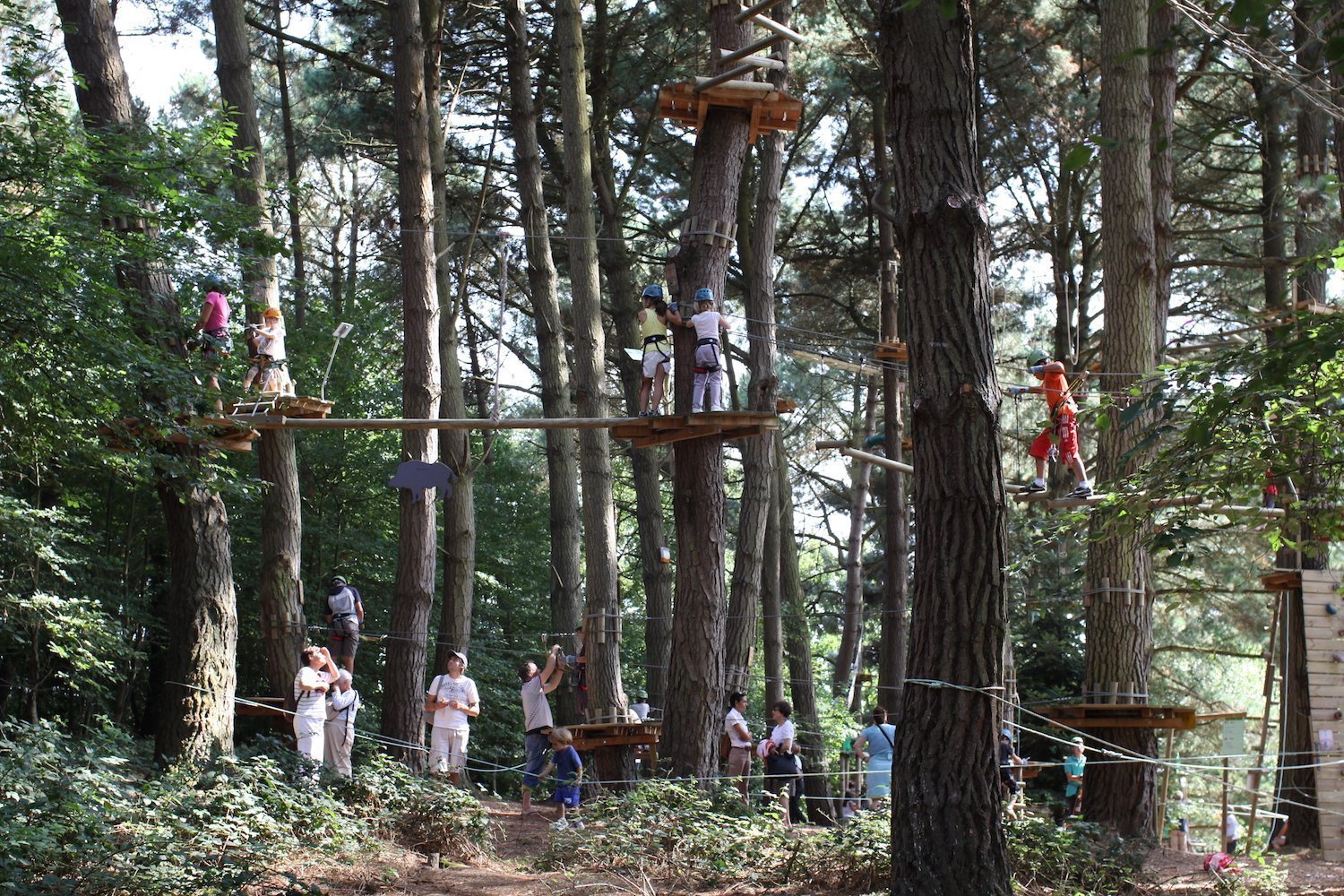 Accrobranche au parc des Gayeulles