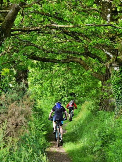 Randonnée à VTT du côté de Bécherel, la cité du Livre en Bretagne.