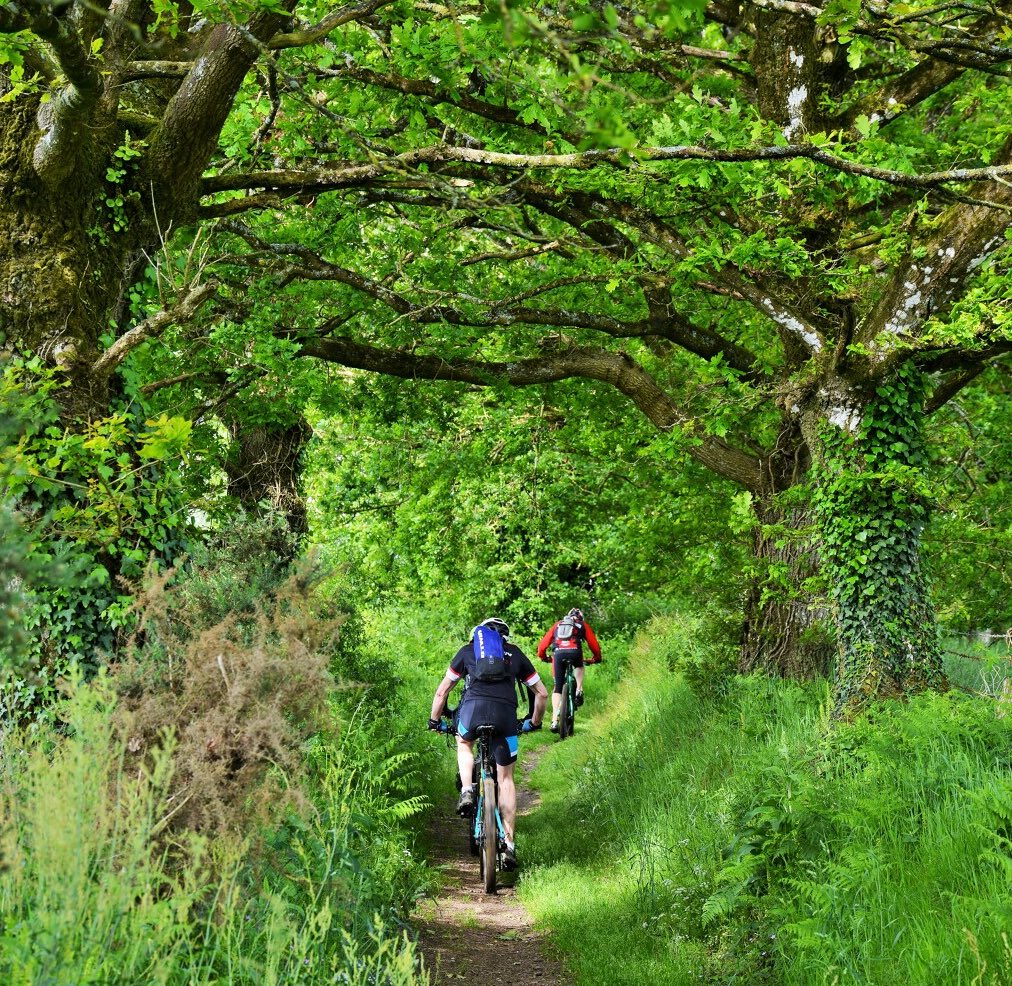 Randonnée à VTT du côté de Bécherel, la cité du Livre en Bretagne.