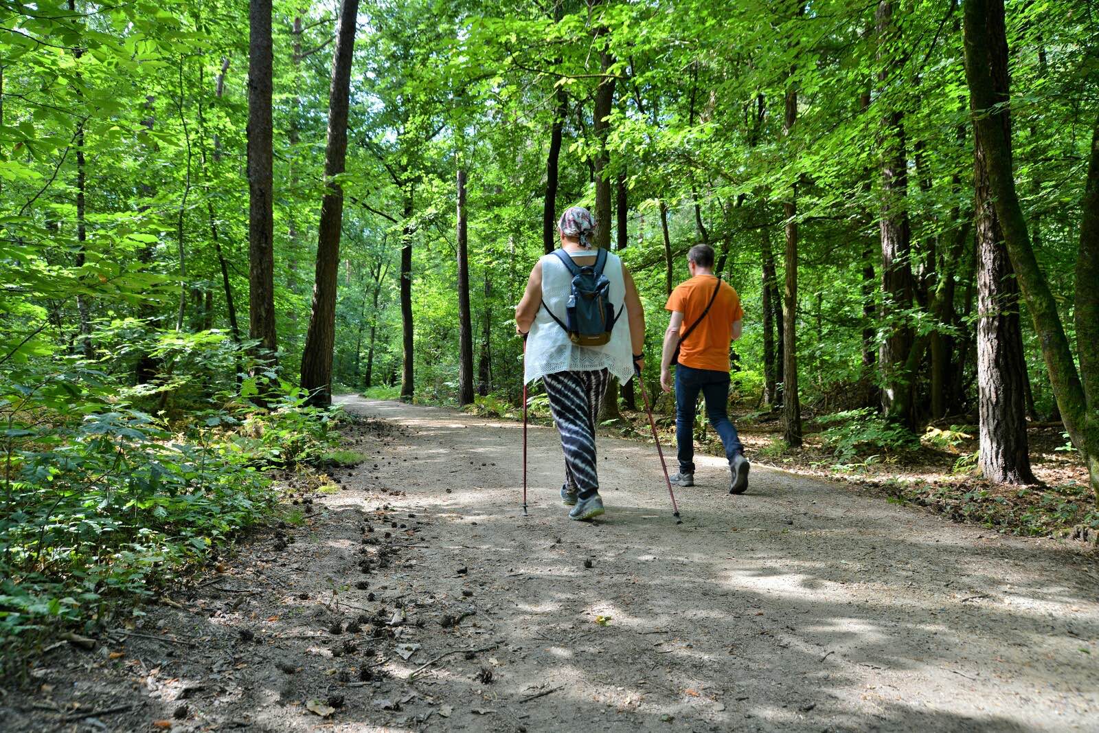 Marche nordique dans le Bois de Soeuvres près de Rennes