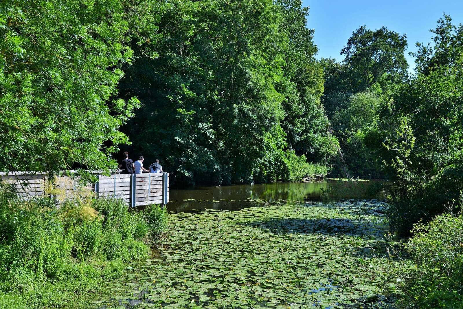 Promenade à Chavagne du côté du Bois e la Sillandais