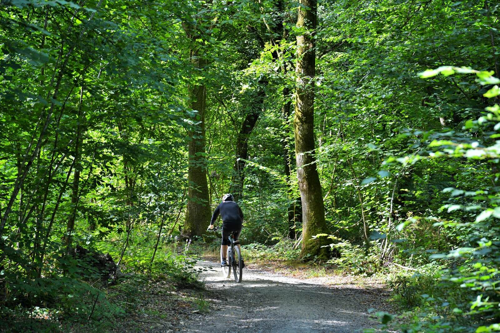 Balade à VTT dans le Bois de Soeuvres