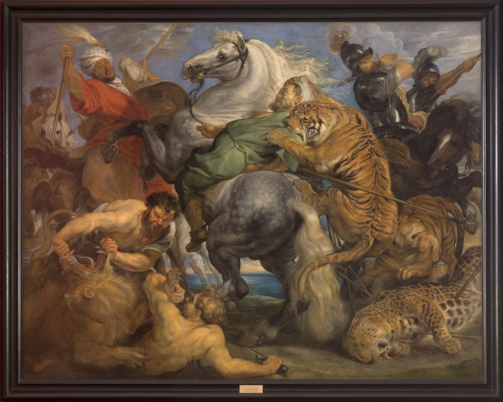 La chasse au Tigre de Rubens