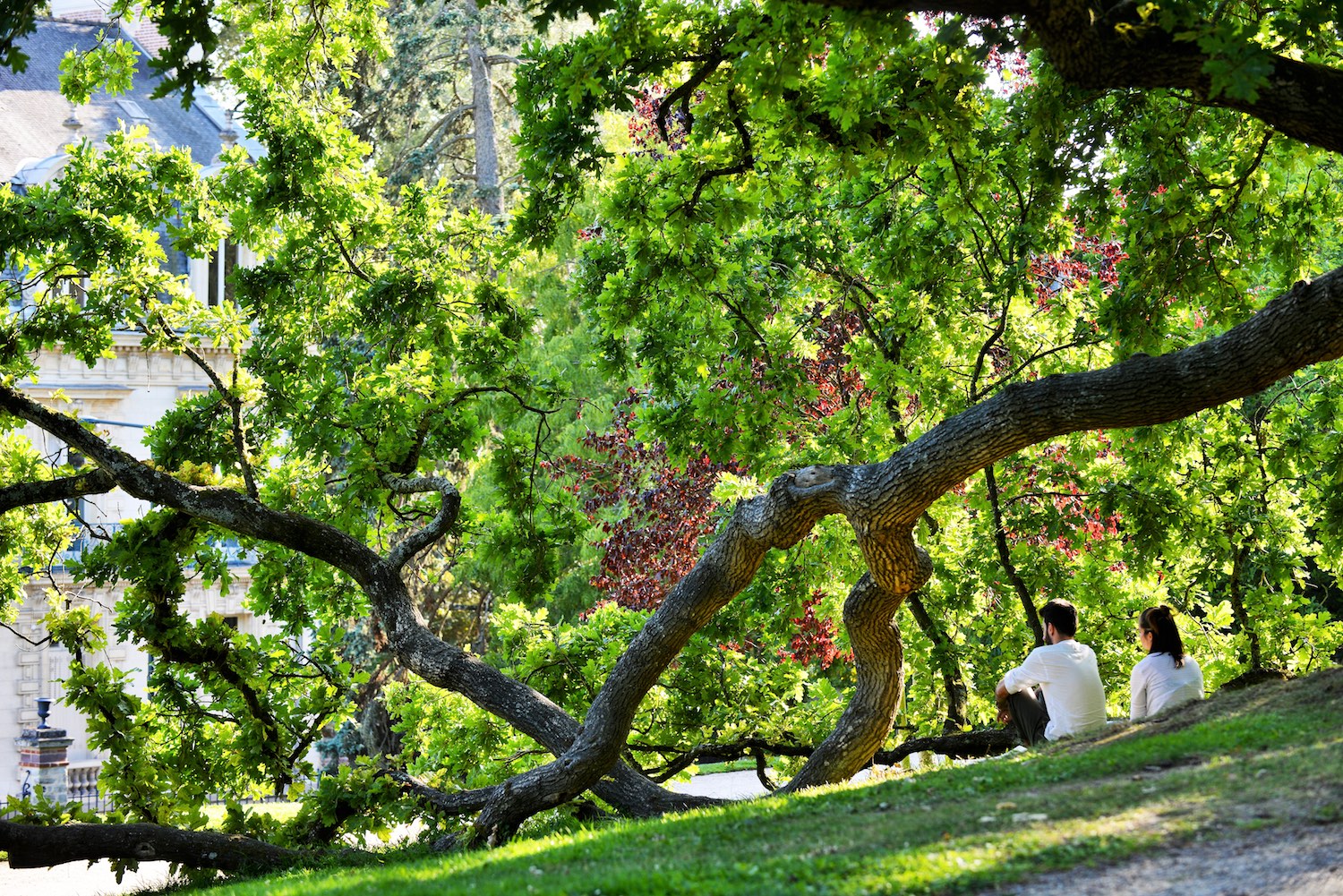 Couple au jardin du Thabor de Rennes