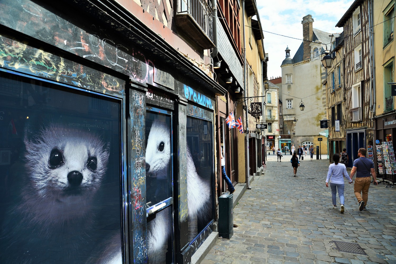 Hermines rue aux foulons à Rennes