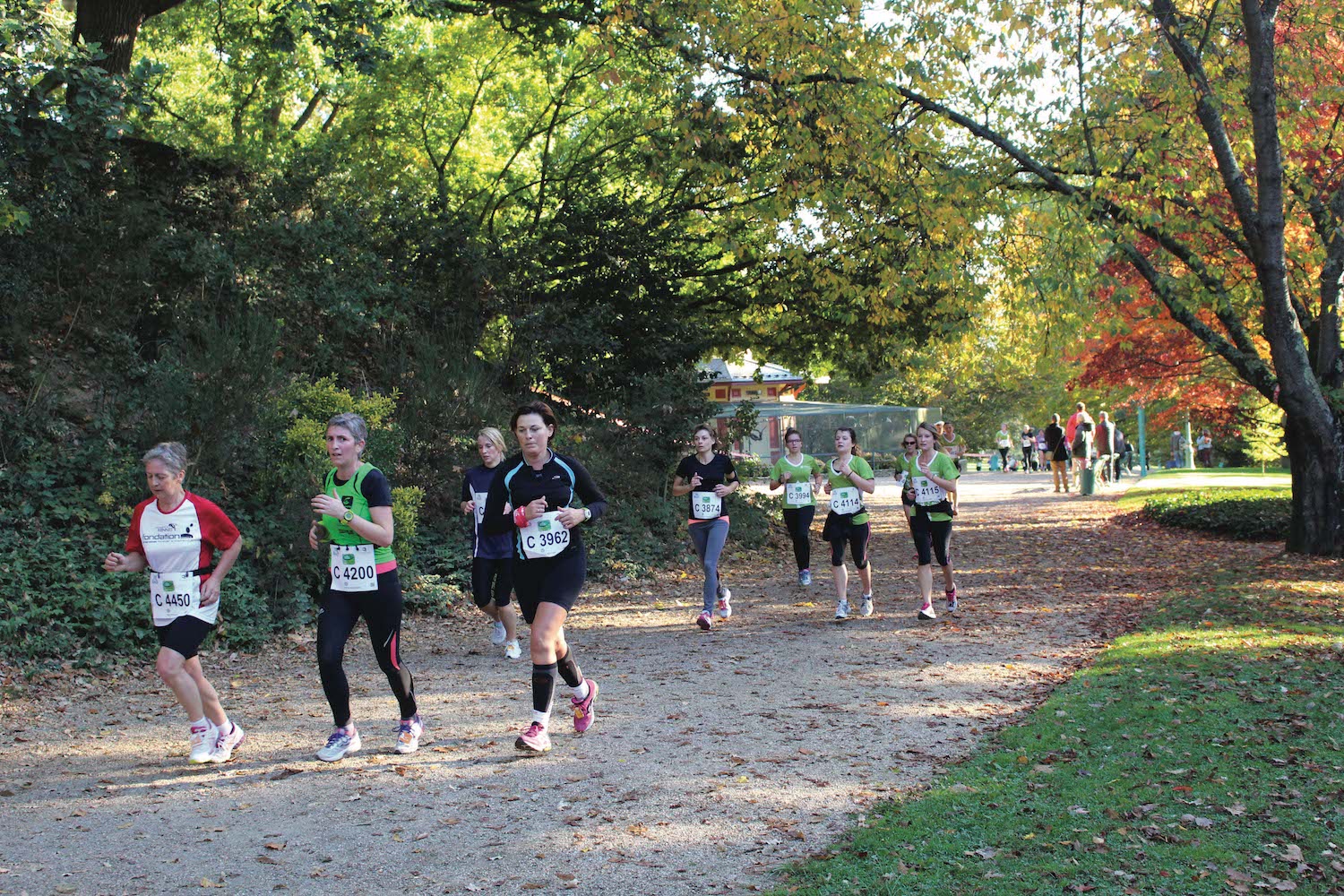 Le marathon vert à Rennes