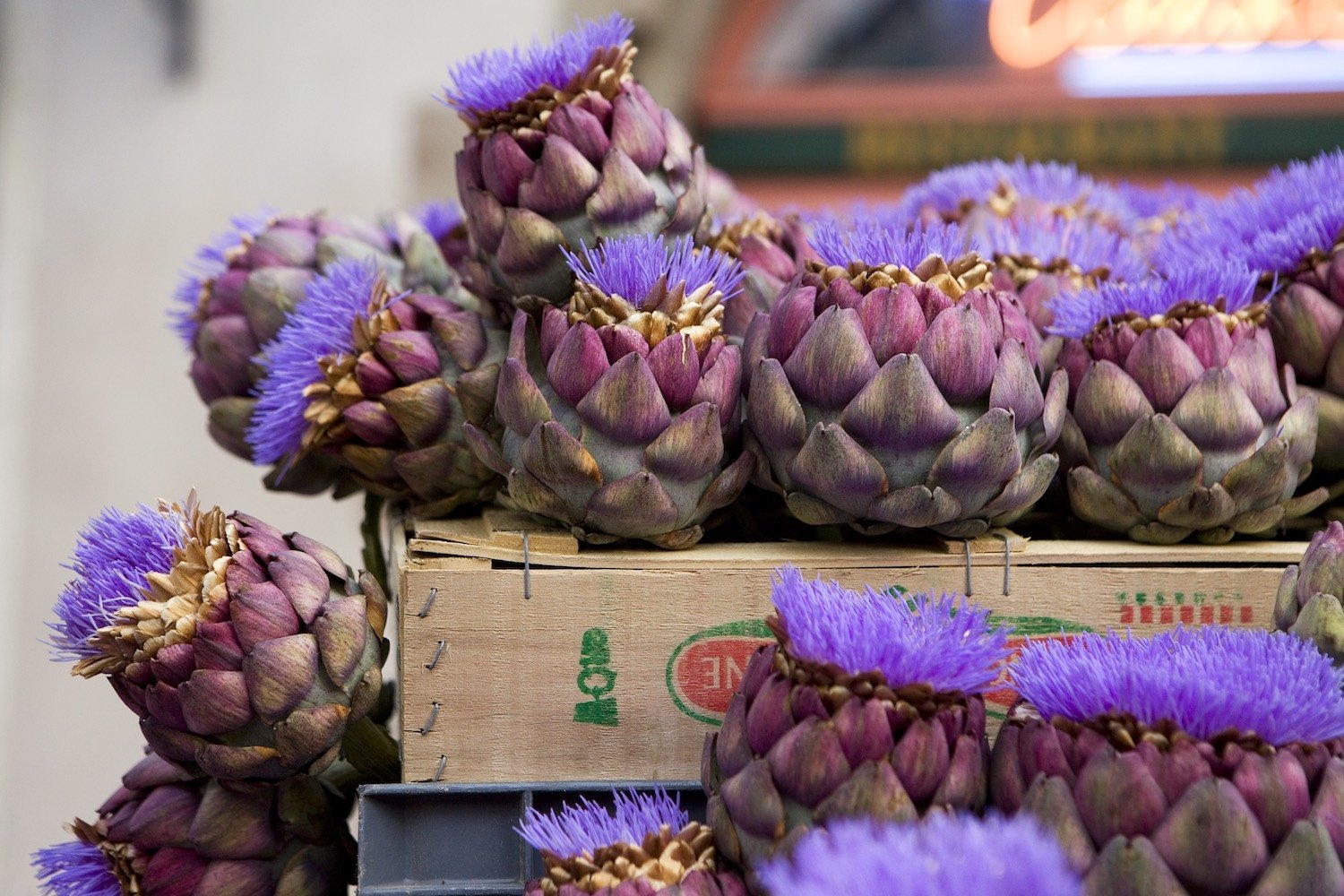 Artichauts du marché des Lices