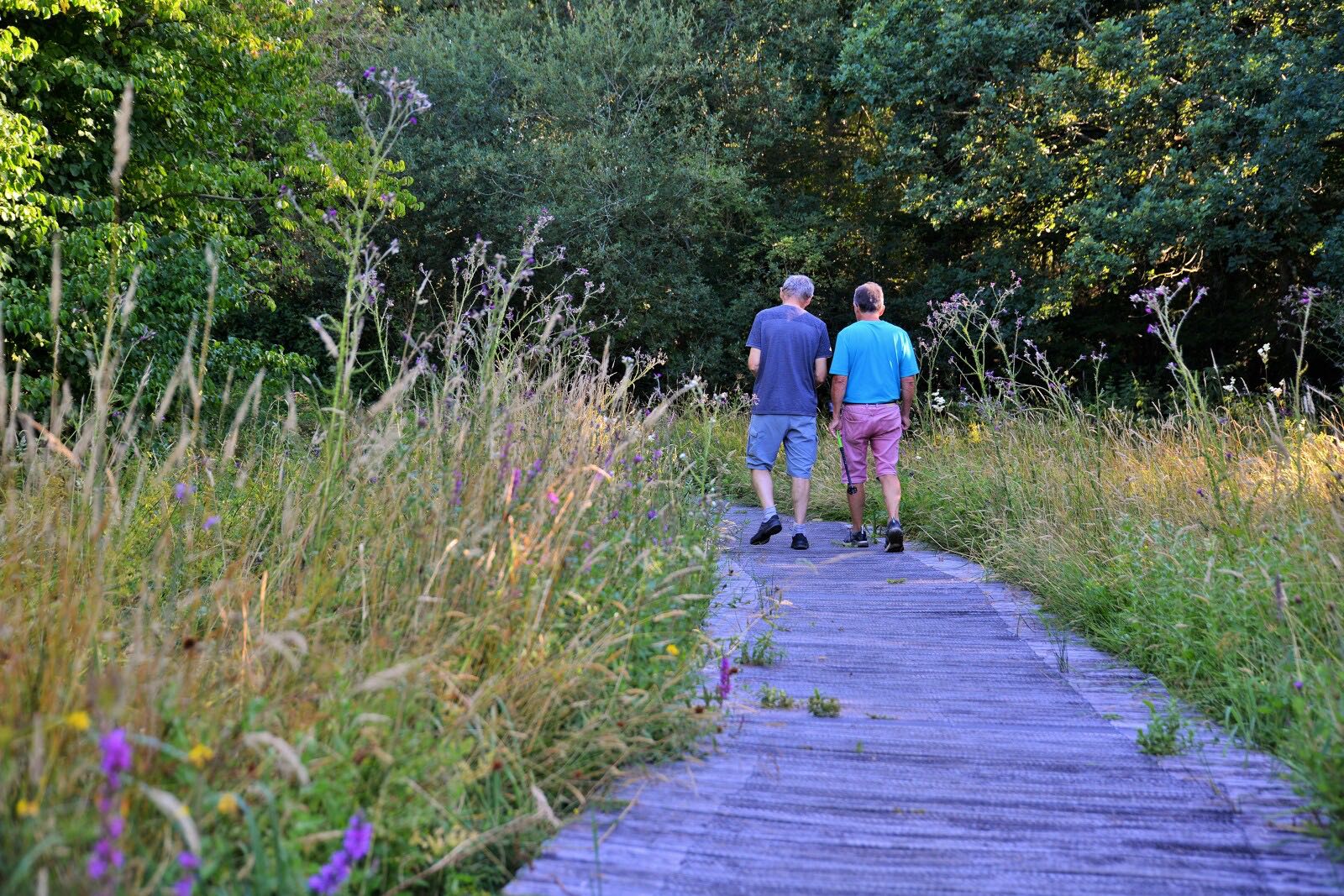 Balade dans les prairies d'Olivet à Montgermont