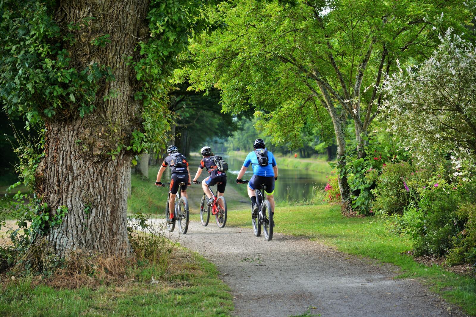 Cyclistes à VTT se promènent au bord du canal