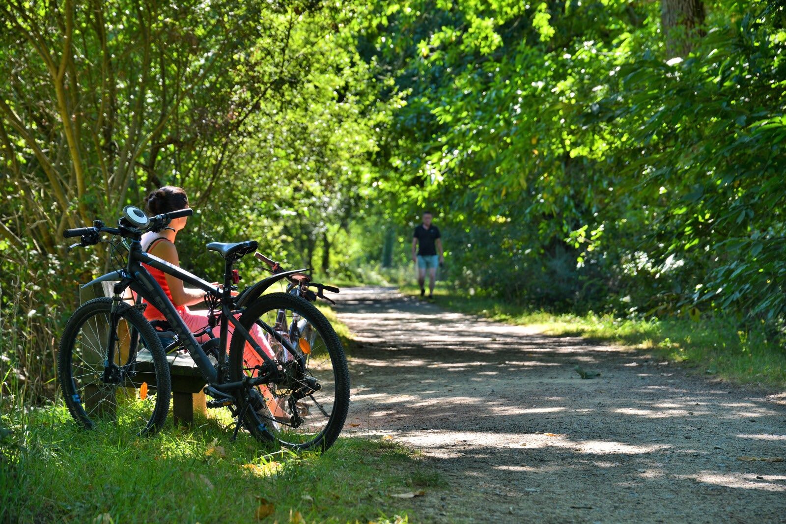 Balade à vélo du côté de Thorigné-Fouillard