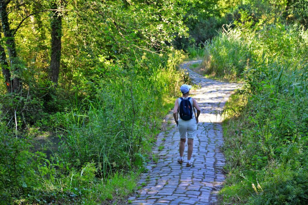 Balade dans le parc de Bréquigny