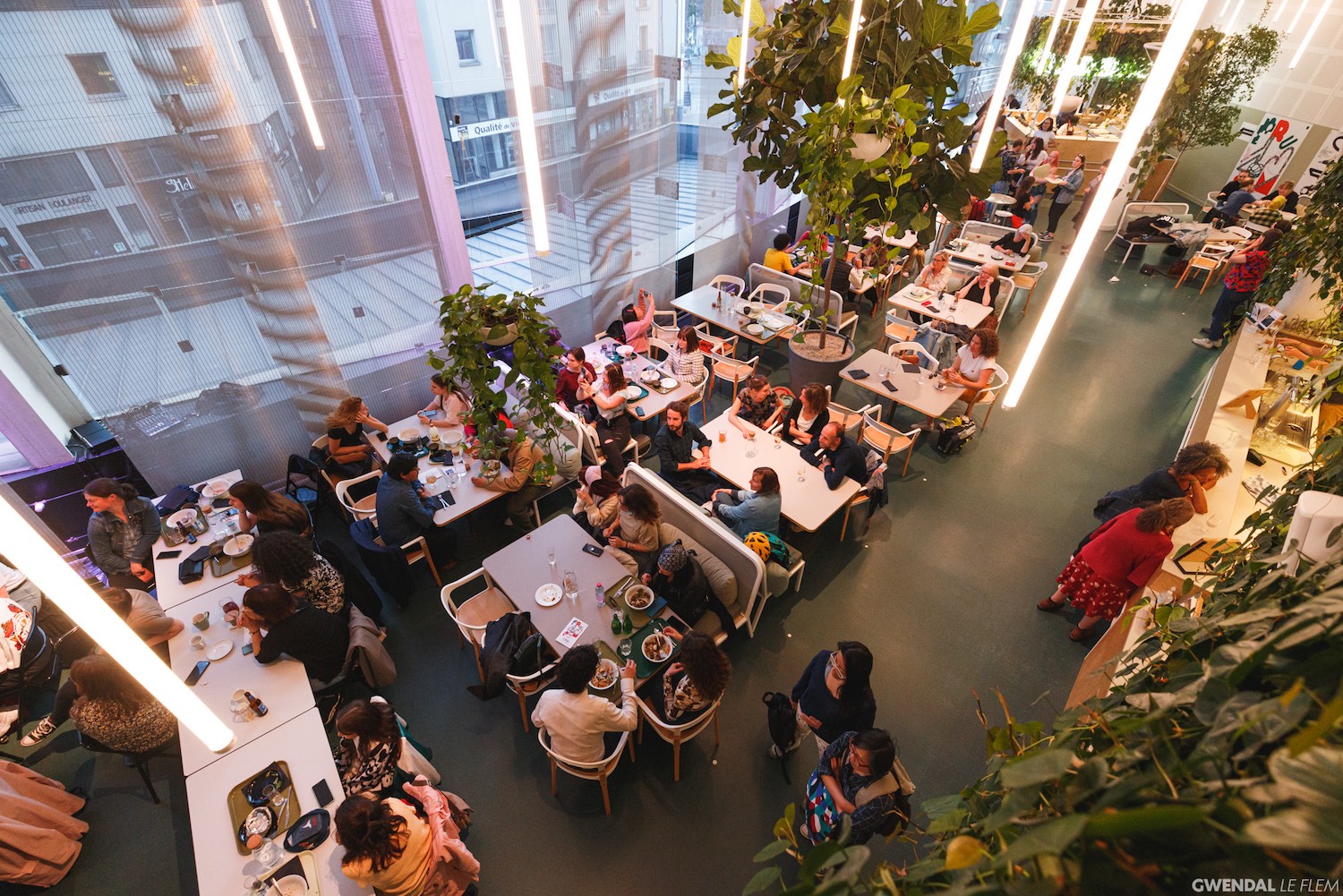 Le restaurant du TNB et son décor végétalisé