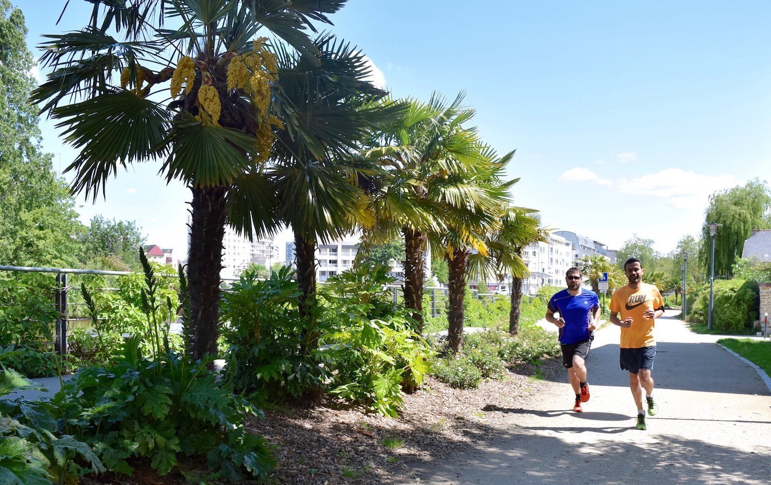 Running sur le quai Dauchel à Rennes