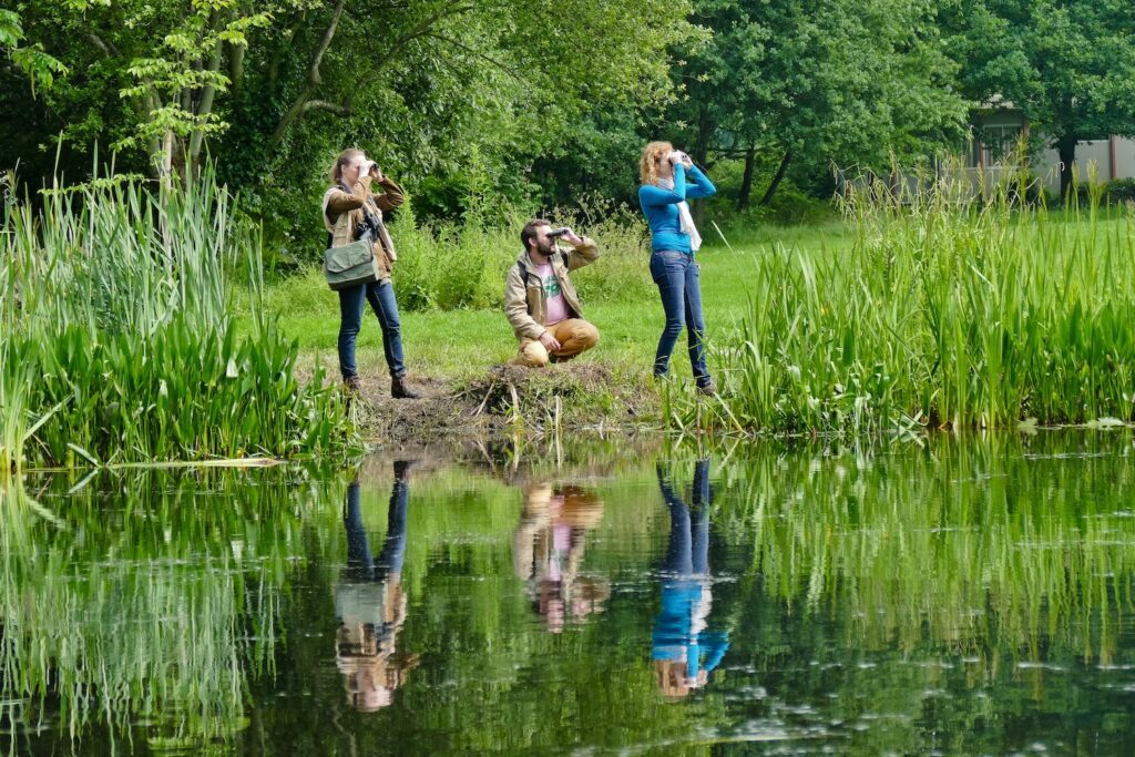 Sortie ornithologique en Bretagne