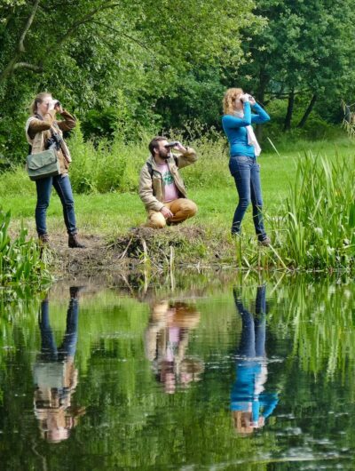 Sortie ornithologique en Bretagne