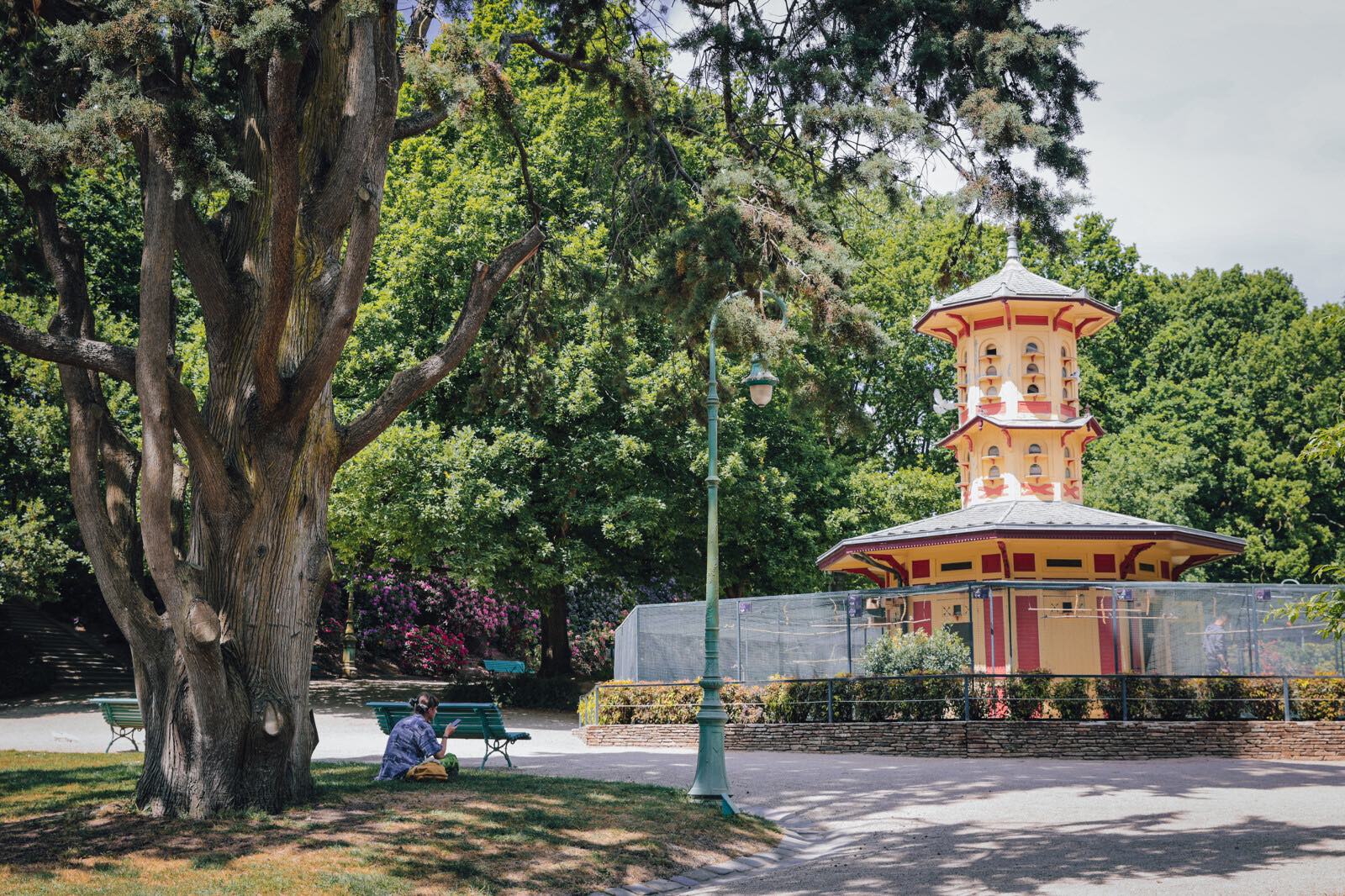 La volière du parc du Thabor à Rennes