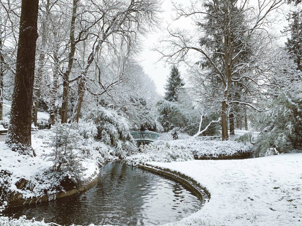 Le Thabor sous la neige