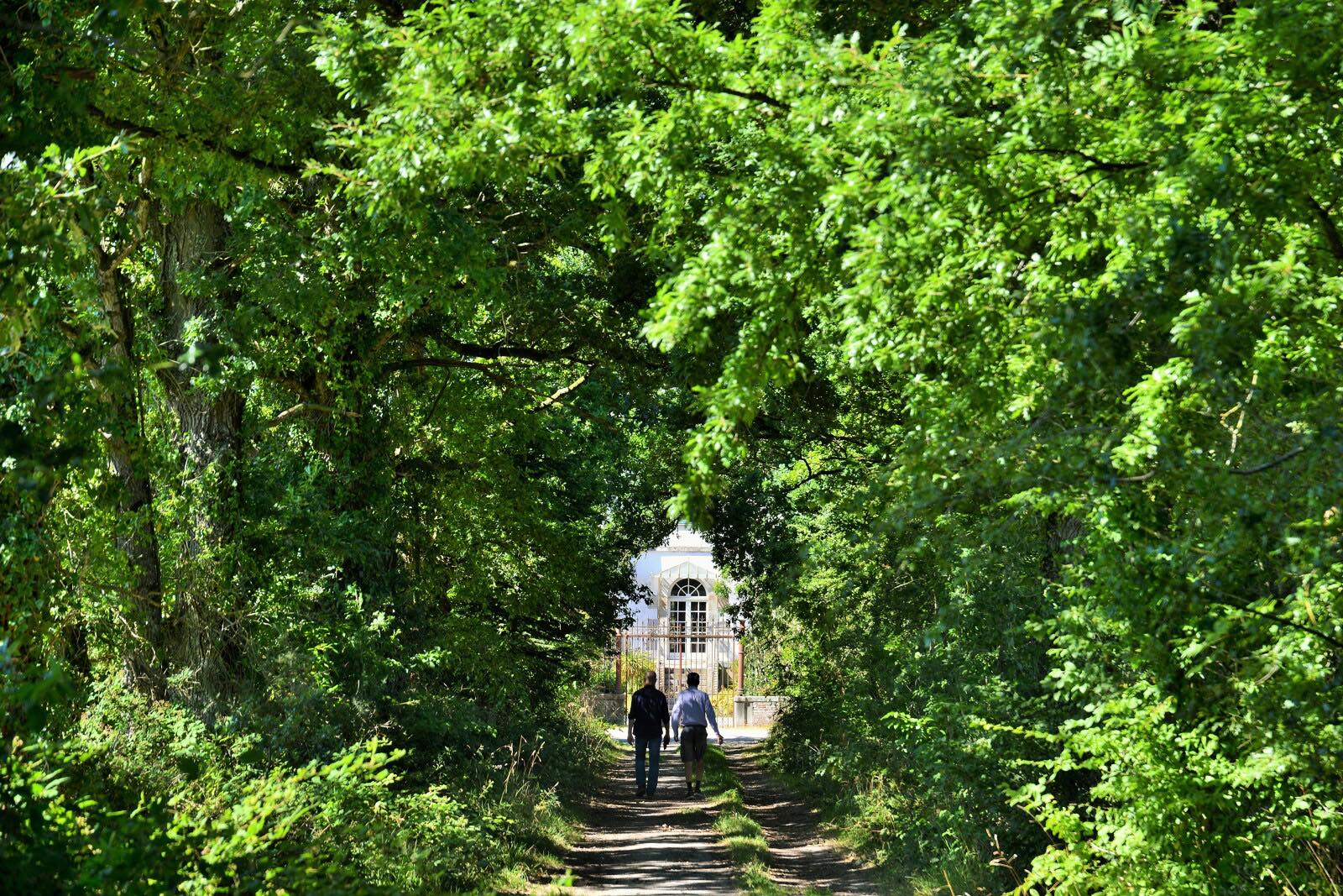 Balade près du manoir du Gaudrier dans la forêt de Rennes. 