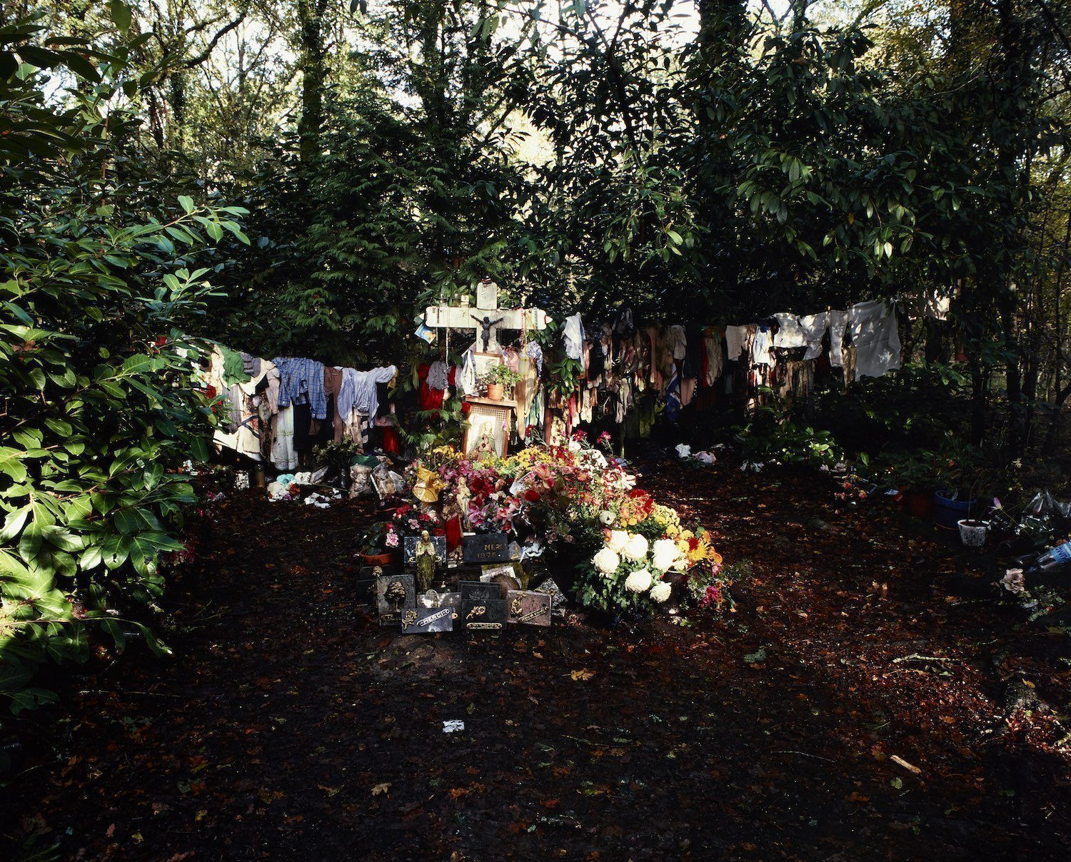 Tombe à la fille à Teillay (35)