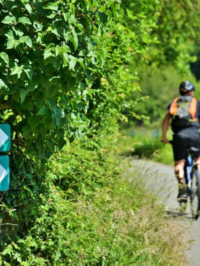 La V42, itinéraire vélo en Bretagne, relie Saint-Malo à Rennes