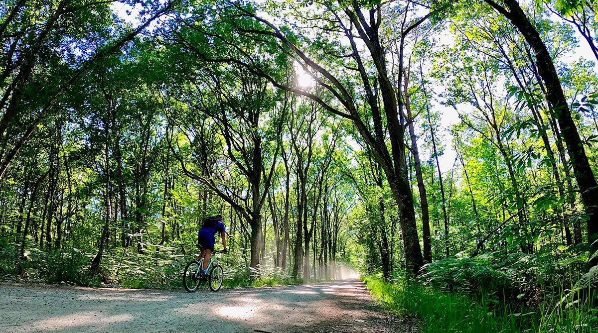 A travers le bois de Cicé à vélo