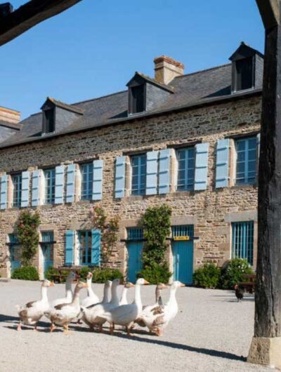 Oies dans la cour de l'écomusée