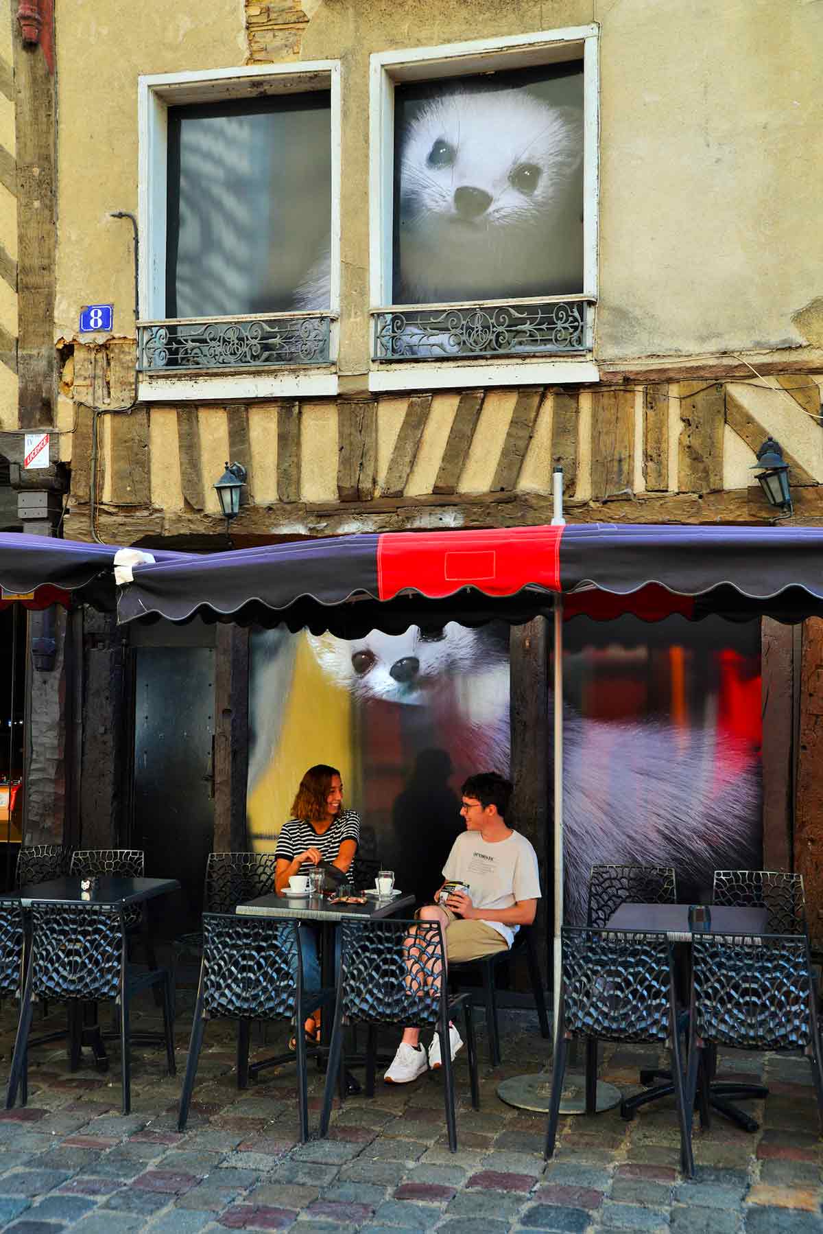 Hermine de la rue Saint-Michel de Rennes