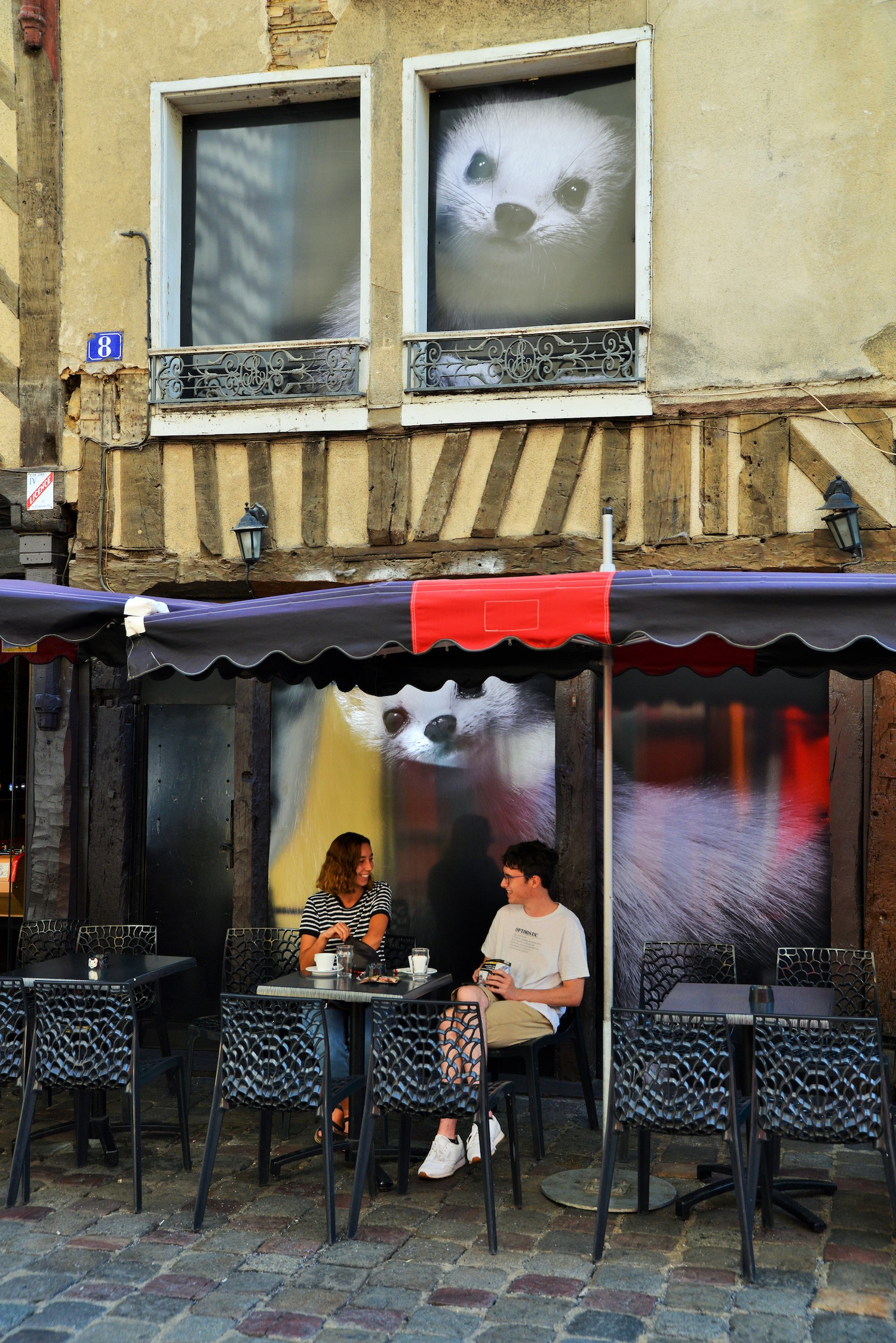 hermines-rue-saintmichel-visite guidée-rennes2020