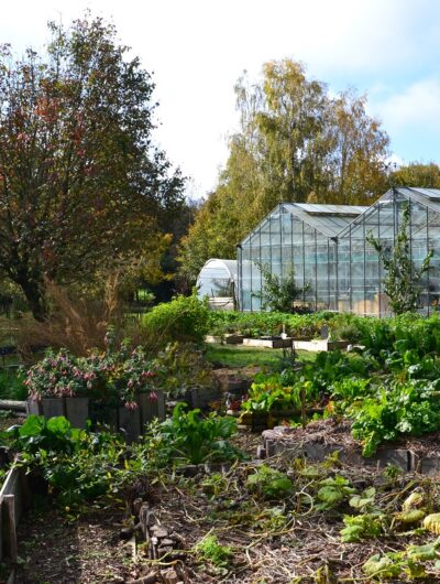 serres-jardin-lunesoleil-rennes-la-chapelle-des-fougeretz