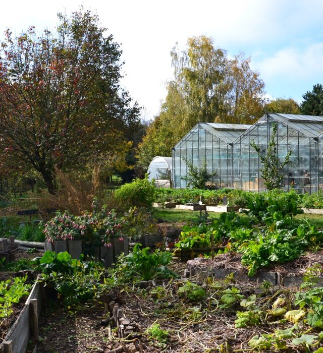 serres-jardin-lunesoleil-rennes-la-chapelle-des-fougeretz