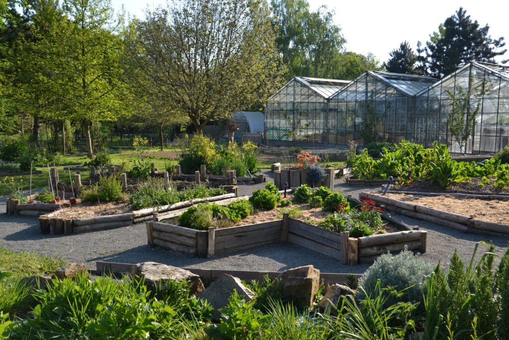 potager-jardin-lunesoleil-rennes-la-chapelle-des-fougeretz