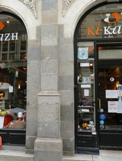 ki-kazh-3-magasin-pour-chats-rennes-2145