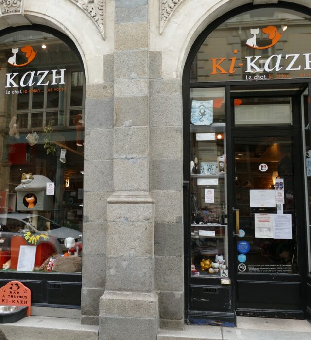 ki-kazh-3-magasin-pour-chats-rennes-2145