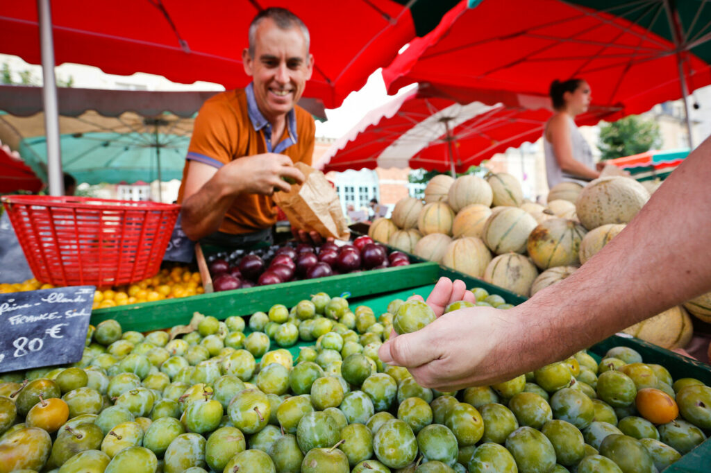 marche-des-lices-rencontre-julien-mignot