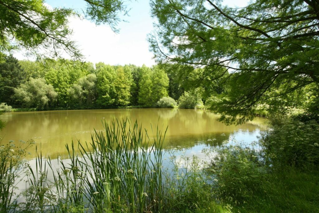 Parc des Gayeulles à Rennes