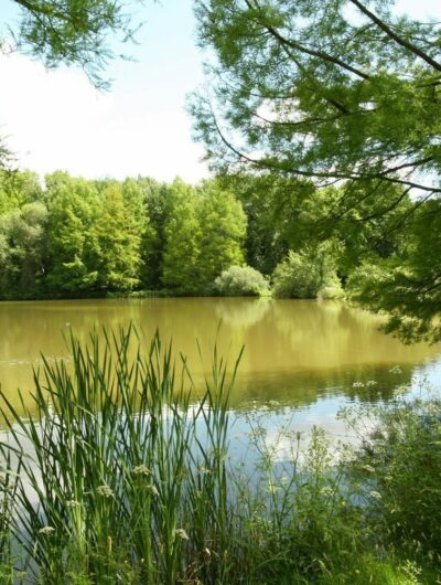 Parc des Gayeulles à Rennes