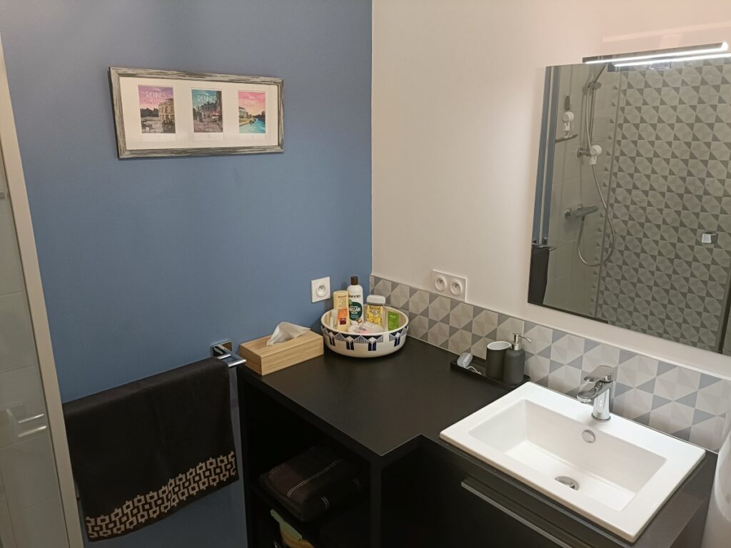 Salle de bain et lavabo