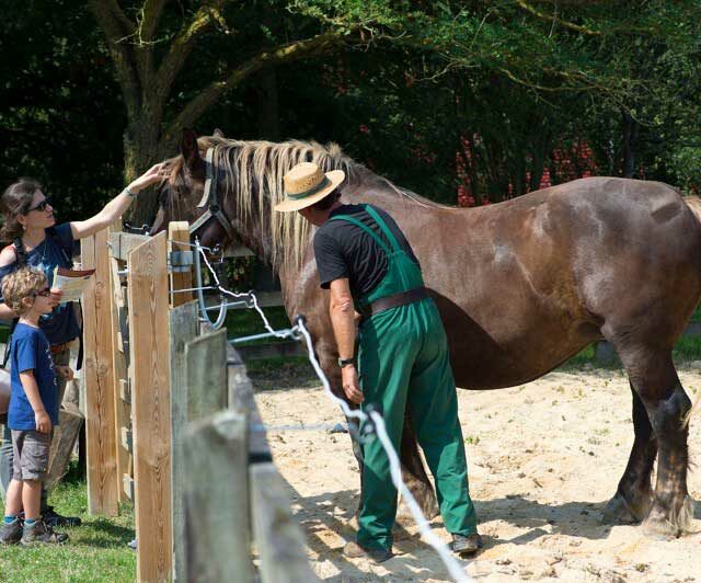 Écomusée de la Bintinais