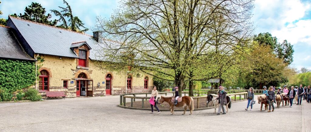 Enfants en balade sur des poneys dans la cour du centre équestre