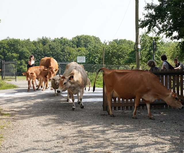 ferme-des-gayeulles-1-1932