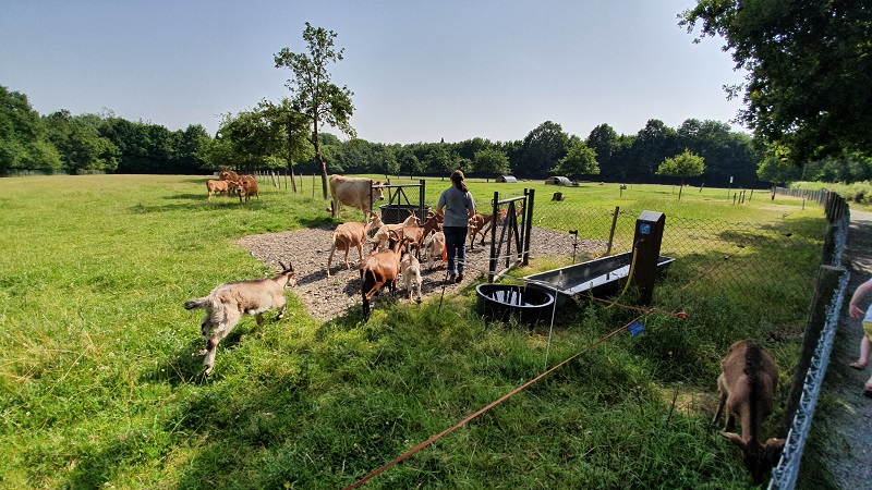 ferme-des-gayeulles-4-1935