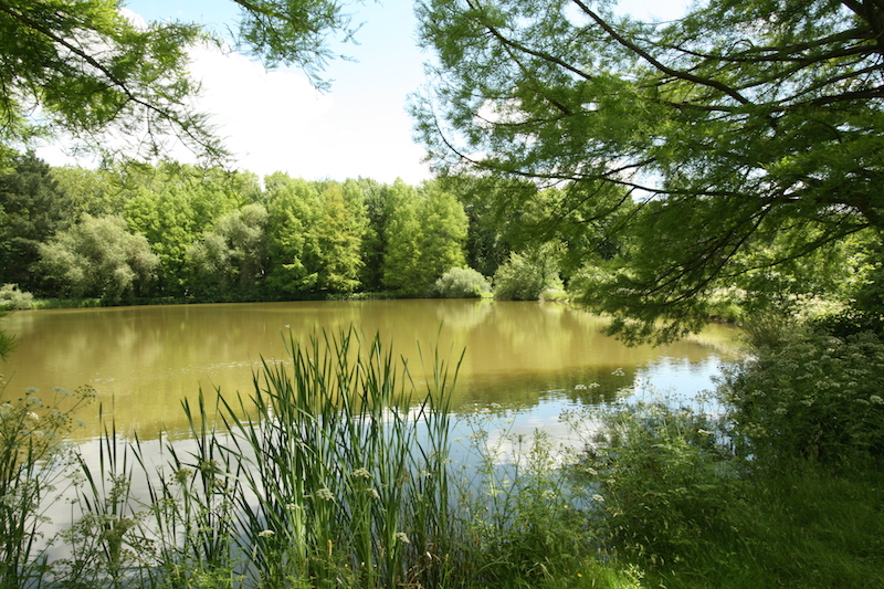 parc-gayeulles-d-gouray-2