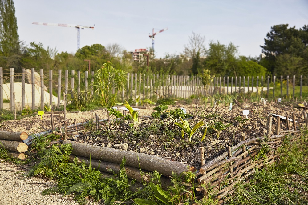 prairies-saint-martin-rennes-potager-1434