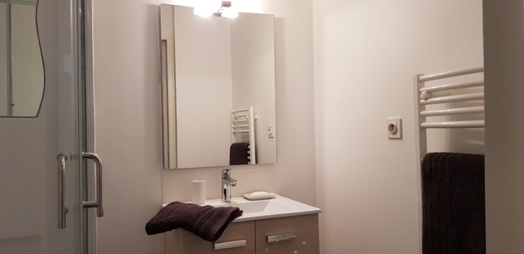 Salle de bain avec lavabo et douche