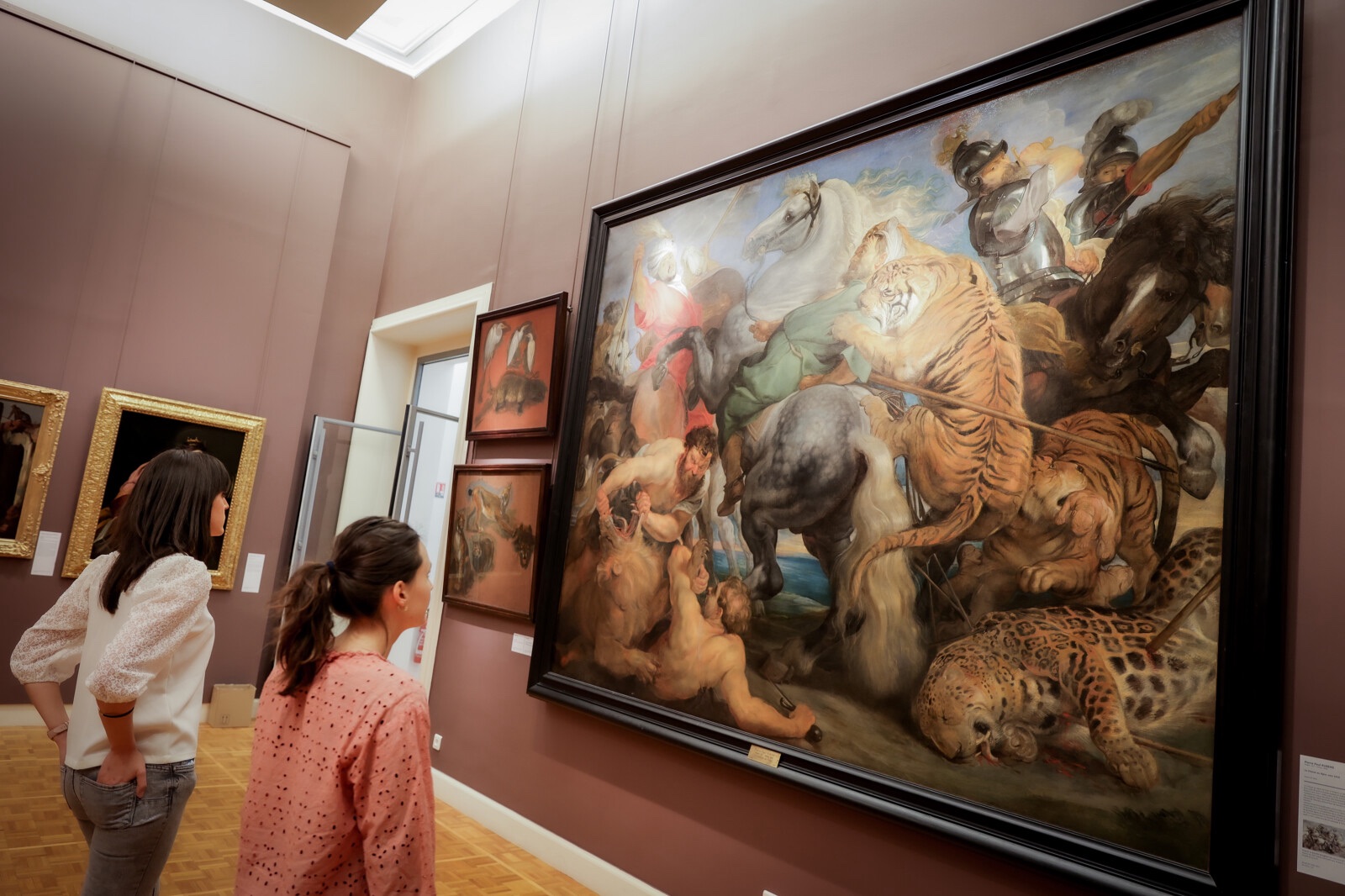 Visiteurs devant le tableau la Chasse au tigre de Rubens au Musée des beaux-arts de Rennes