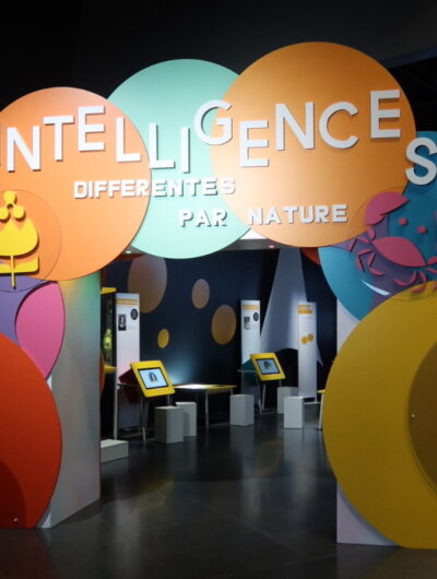 Entrée de l'exposition Intelligences, différentes par nature à l'Espace des sciences