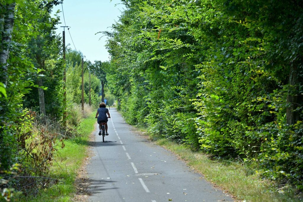 Piste cyclable en direction de Vern-sur-Seiche